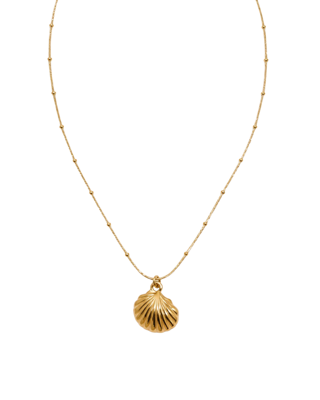 SHELL BABY NECKLACE